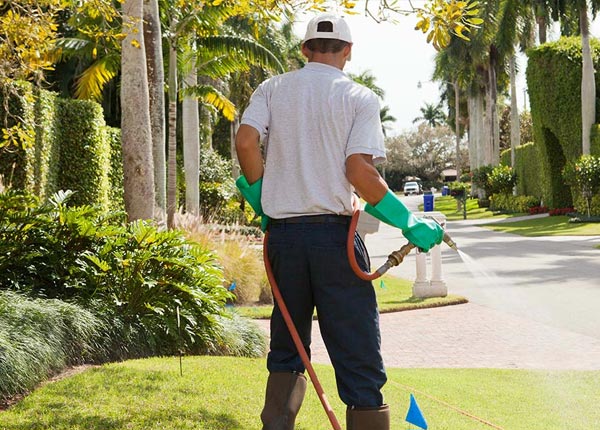 About Farmington CT Pest Control